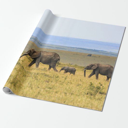 VIJF ELEPHANTS OP BROWN GRASS CADEAUPAPIER (Uitgerold)