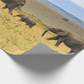 VIJF ELEPHANTS OP BROWN GRASS CADEAUPAPIER (Hoek)
