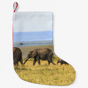 VIJF ELEPHANTS OP BROWN GRASS KLEINE KERSTSOK