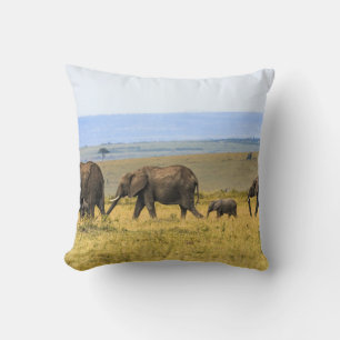 VIJF ELEPHANTS OP BROWN GRASS KUSSEN