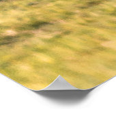 VIJF ELEPHANTS OP BROWN GRASS POSTER (Hoek)