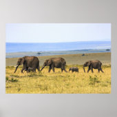 VIJF ELEPHANTS OP BROWN GRASS POSTER (Voorkant)