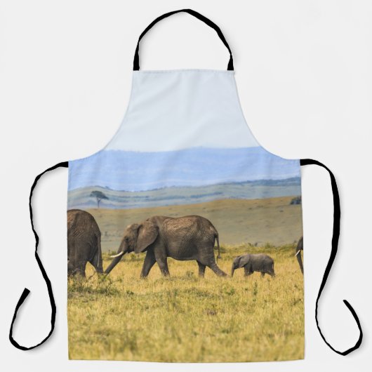 VIJF ELEPHANTS OP BROWN GRASS SCHORT (Voorkant)