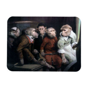 Vijf Fancy apen Magneet