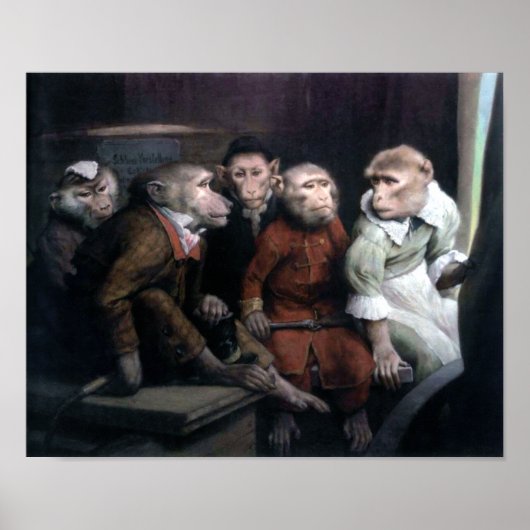 Vijf Fancy apen Poster (Voorkant)