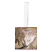 Vijf Fotonaam Jaar Kat Dog Pet Decoratie (Voorkant)