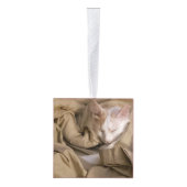 Vijf Fotonaam Jaar Kat Dog Pet Decoratie (Rechts)