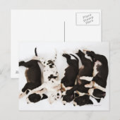 Vijf Harlequin Great Dane puppies slapen Briefkaart (Voorkant / Achterkant)