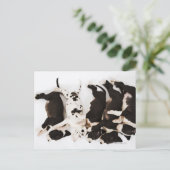 Vijf Harlequin Great Dane puppies slapen in Briefkaart (Staand voorkant)