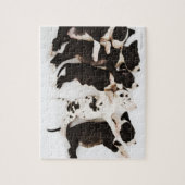 Vijf Harlequin Great Dane puppies slapen Legpuzzel (Verticaal)