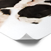 Vijf Harlequin Great Dane puppies slapen Poster (Hoek)