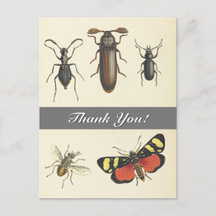 Vijf Insecten kijken "Bedankt!" Briefkaart