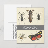 Vijf  Insecten kijken "Bedankt!" Briefkaart (Voorkant / Achterkant)