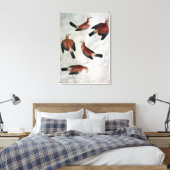 Vijf Jays van het Album van Vallardi Canvas Afdruk (Insitu (Slaapkamer))