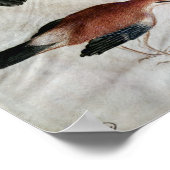 Vijf Jays van het Album van Vallardi Poster (Hoek)