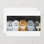 Vijf katten, Louis Wain Briefkaart (Voorkant / Achterkant)
