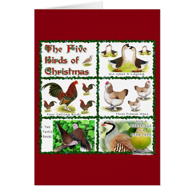 Vijf kerstvogels (Voorkant)