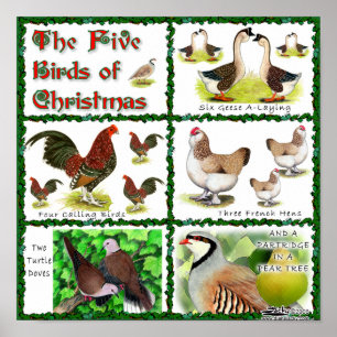Vijf kerstvogels poster