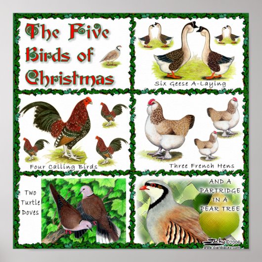 Vijf kerstvogels poster (Voorkant)
