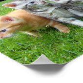 Vijf Kittens Poster (Hoek)