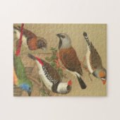 Vijf kleurrijke huisvogels die op een Tak worden v Legpuzzel (Horizontaal)