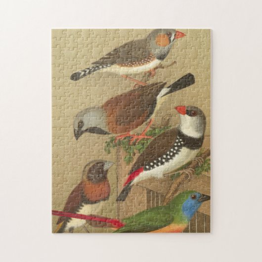 Vijf kleurrijke huisvogels die op een Tak worden v Legpuzzel (Verticaal)