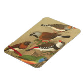 Vijf kleurrijke huisvogels die op een Tak worden v Magneet (Linkerzijde)