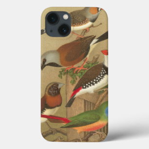 Vijf kleurrijke huisvogels op een vertakking Case-Mate iPhone case