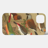 Vijf kleurrijke huisvogels op een vertakking Case-Mate iPhone case (Achterkant (horizontaal))