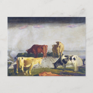 Vijf koeien - George Bellows-schilderij Briefkaart