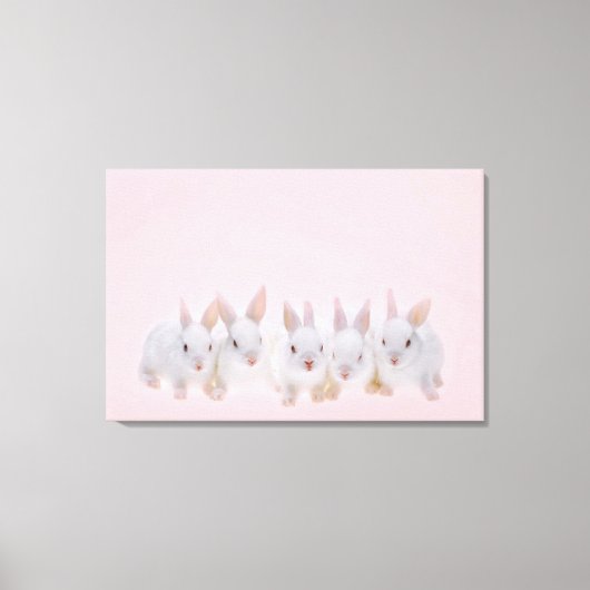 Vijf konijnen canvas afdruk (Voorkant)