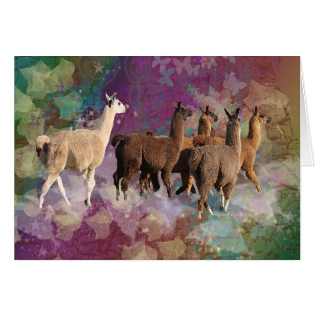Vijf Llama Cloud Walk Fantasy White en bruine Lama (Voorkant Horizontaal)
