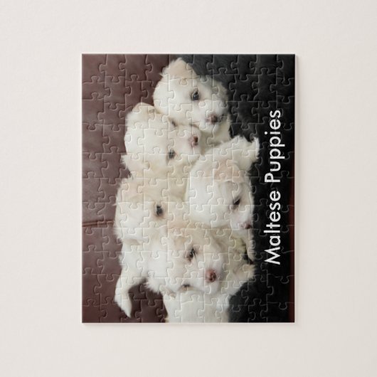 Vijf Maltese Puppies op een puzzel Legpuzzel (Verticaal)