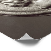 Vijf munten die Janus, Jupiter afbeelden Poster (Hoek)