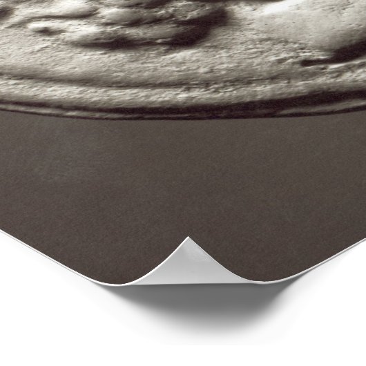 Vijf munten die Janus, Jupiter afbeelden Poster (Hoek)