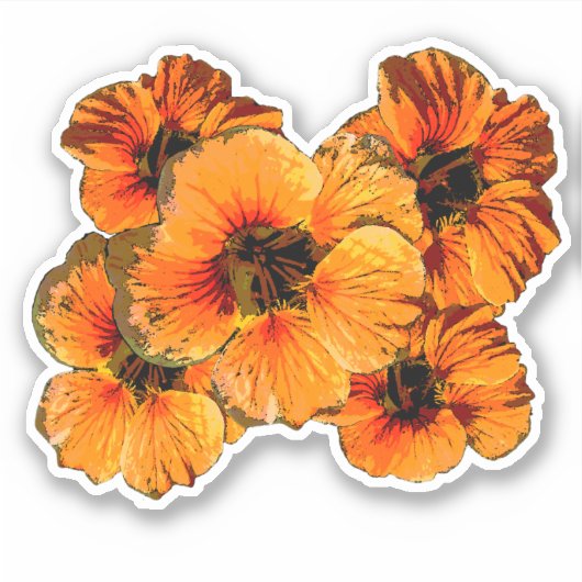 Vijf oranje gestileerde nasturtiumbloemen bloemen sticker (Voorkant)