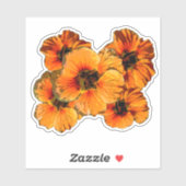 Vijf oranje gestileerde nasturtiumbloemen bloemen sticker (Vel)
