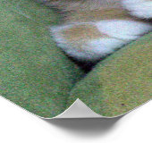 Vijf Oranje Kittens die voorzitter zijn Poster (Hoek)