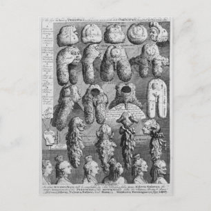 Vijf Orden van Perriwigs, 1761 Briefkaart