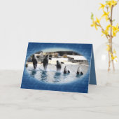 Vijf! Orka's in Marineland (Frankrijk) Kaart (Gele Bloem)