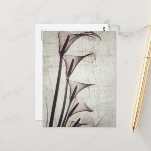 Vijf röntgenbloemen briefkaart (Voorkant / Achterkant in situ)