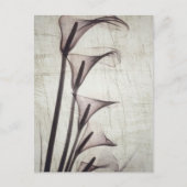Vijf röntgenbloemen briefkaart (Voorkant)