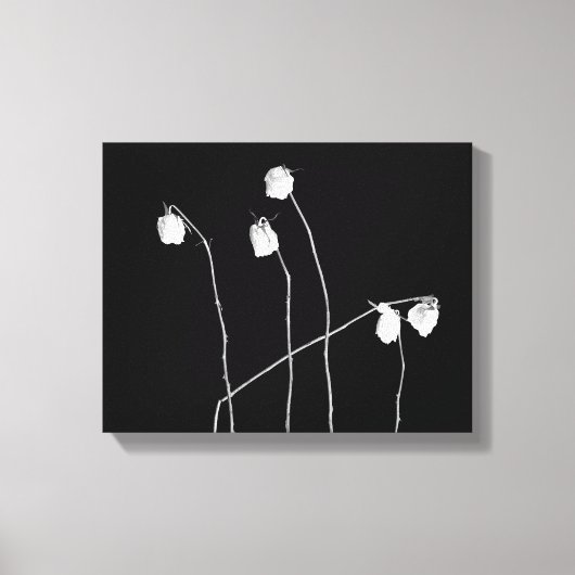 Vijf Rozen Canvas Afdruk (Voorkant)