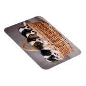 Vijf schattige puppies in een mand magneet (Rechterzijde)