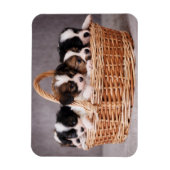 Vijf schattige puppies in een mand magneet (Verticaal)