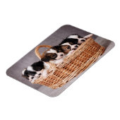 Vijf schattige puppies in een mand magneet (Linkerzijde)