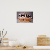 Vijf schattige puppies in een mand poster (Keuken)