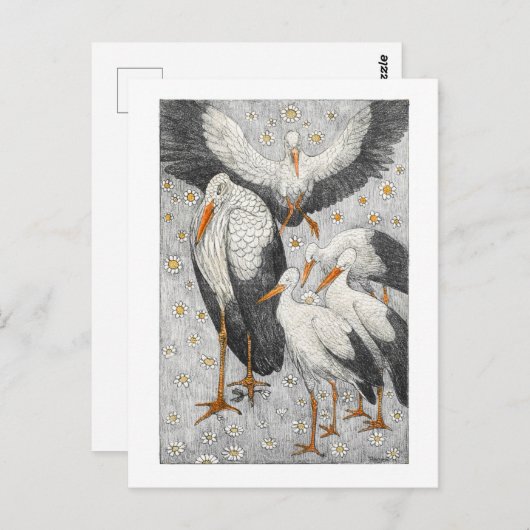 Vijf Storks in een Meadow - Theo van Hoytema Briefkaart (Voorkant / Achterkant)