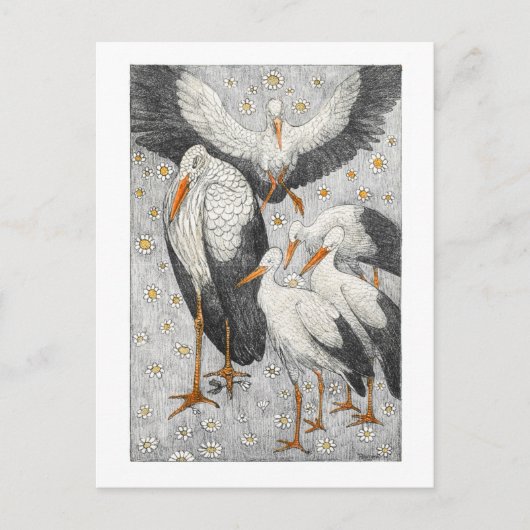 Vijf Storks in een Meadow - Theo van Hoytema Briefkaart (Voorkant)