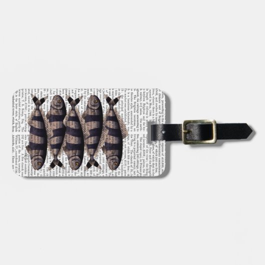 Vijf strips bagagelabel (Voorkant horizontaal)